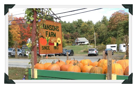 Hansons Farm2
