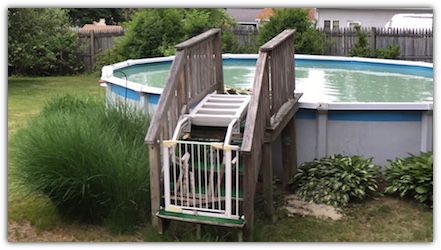 Winter Pool Ladder