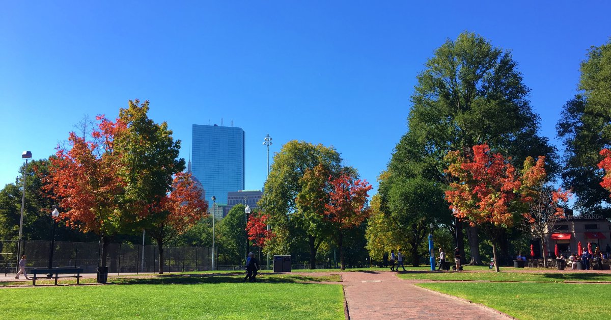 Boston Fall Opportunity