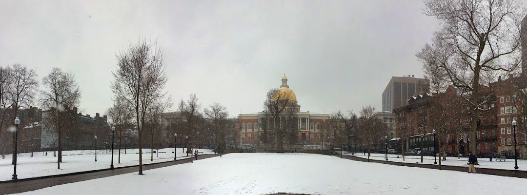 State House Winter