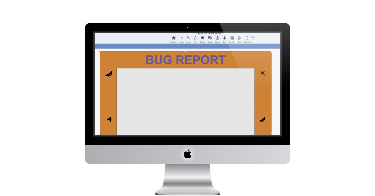 Snag It Bug Report