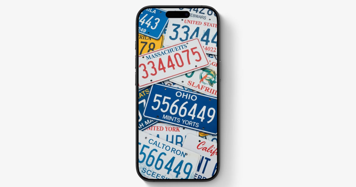 License Plate Example